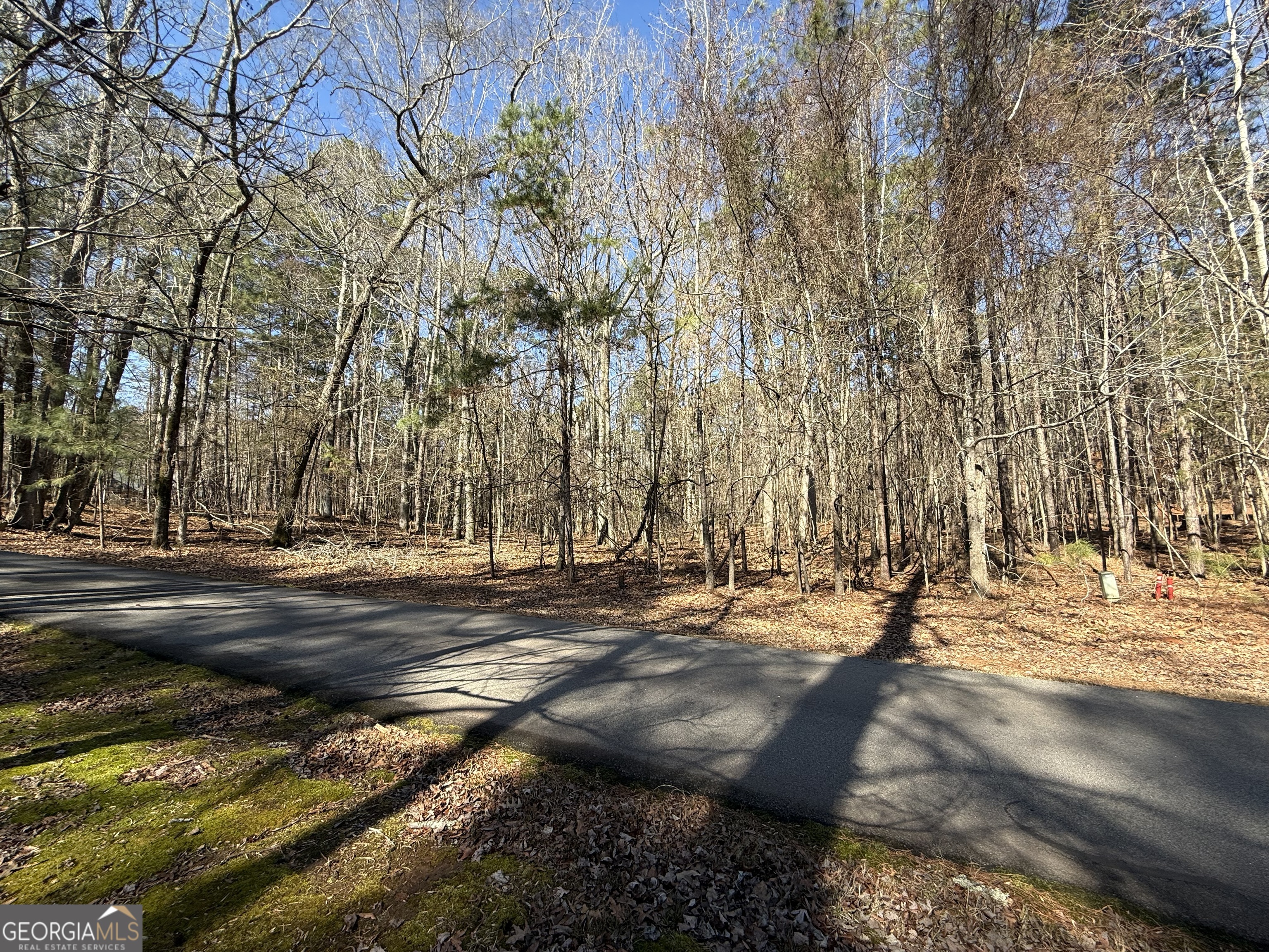 147 Waters Edge Drive Eatonton, GA 31024 - Photo 2 of 7