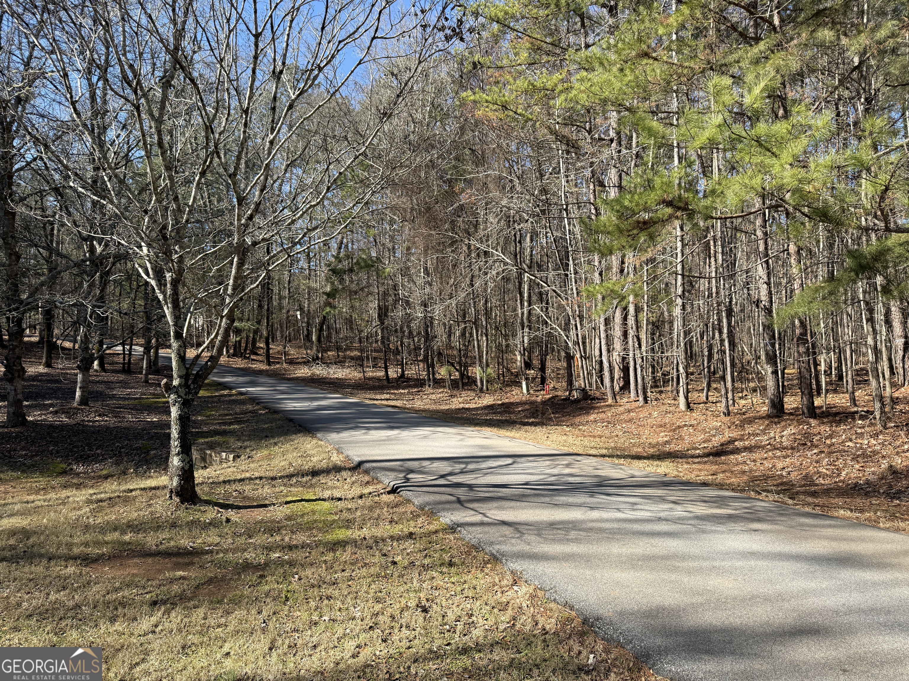 147 Waters Edge Drive Eatonton, GA 31024 - Photo 3 of 7