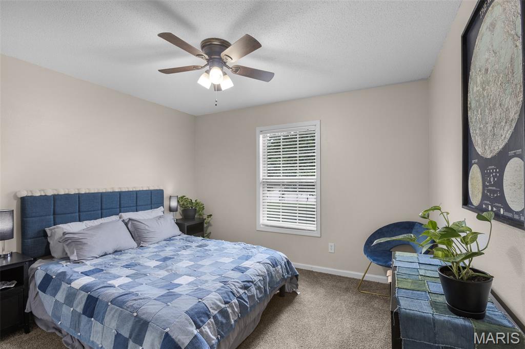 385 Spring Hill Road Jackson, MO 63755 - Photo 19 of 38 Gallery Image 19