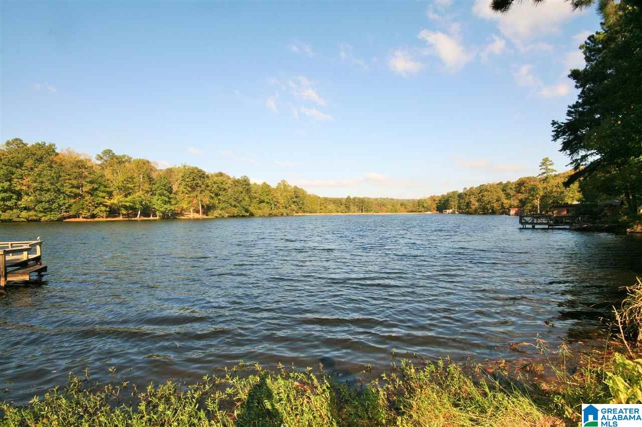 9056 Jade Lake Road West Pinson, AL 35126 - Photo 2 of 26