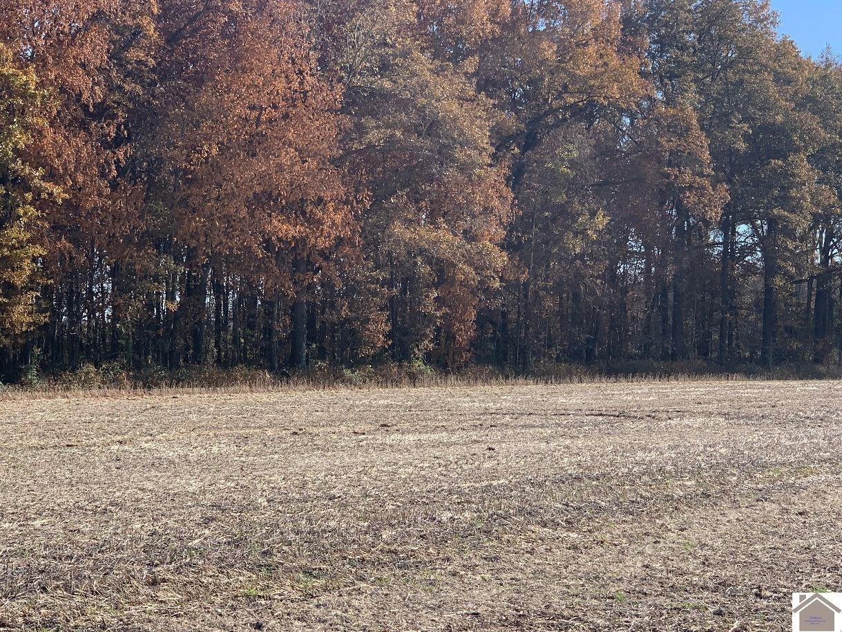 0 Crawford Lake Road Kevil, KY 42053 - Photo 7 of 10 Photo 7