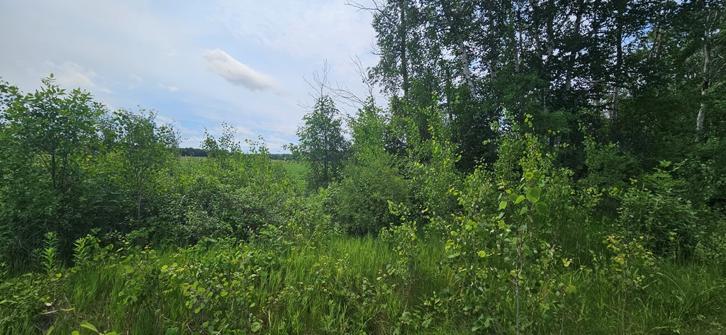 Lot 2 County Road Algoma, WI 54201 - Photo 5 of 10
