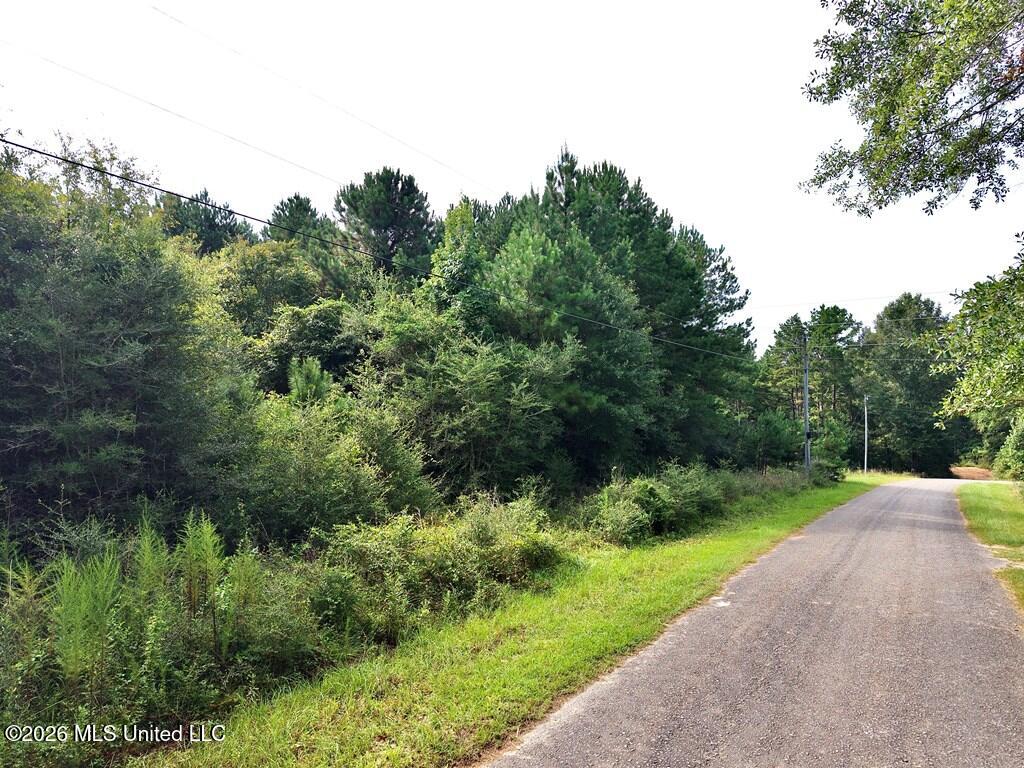 Tamchelle Road Lumberton, MS 39455 - Photo 10 of 24 IMG_1634