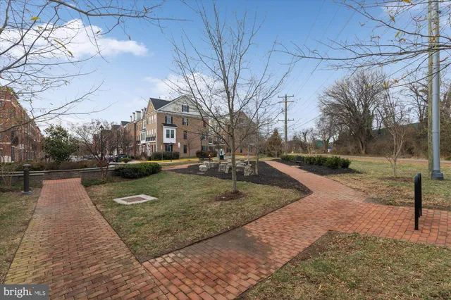 a view of a park with large trees