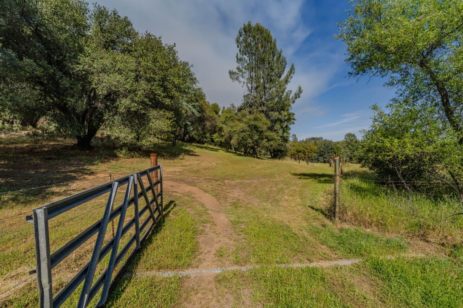 6216 Trout Lane Mountain Ranch, CA 95246 - Photo 23 of 39 a view of swimming pool from a lake