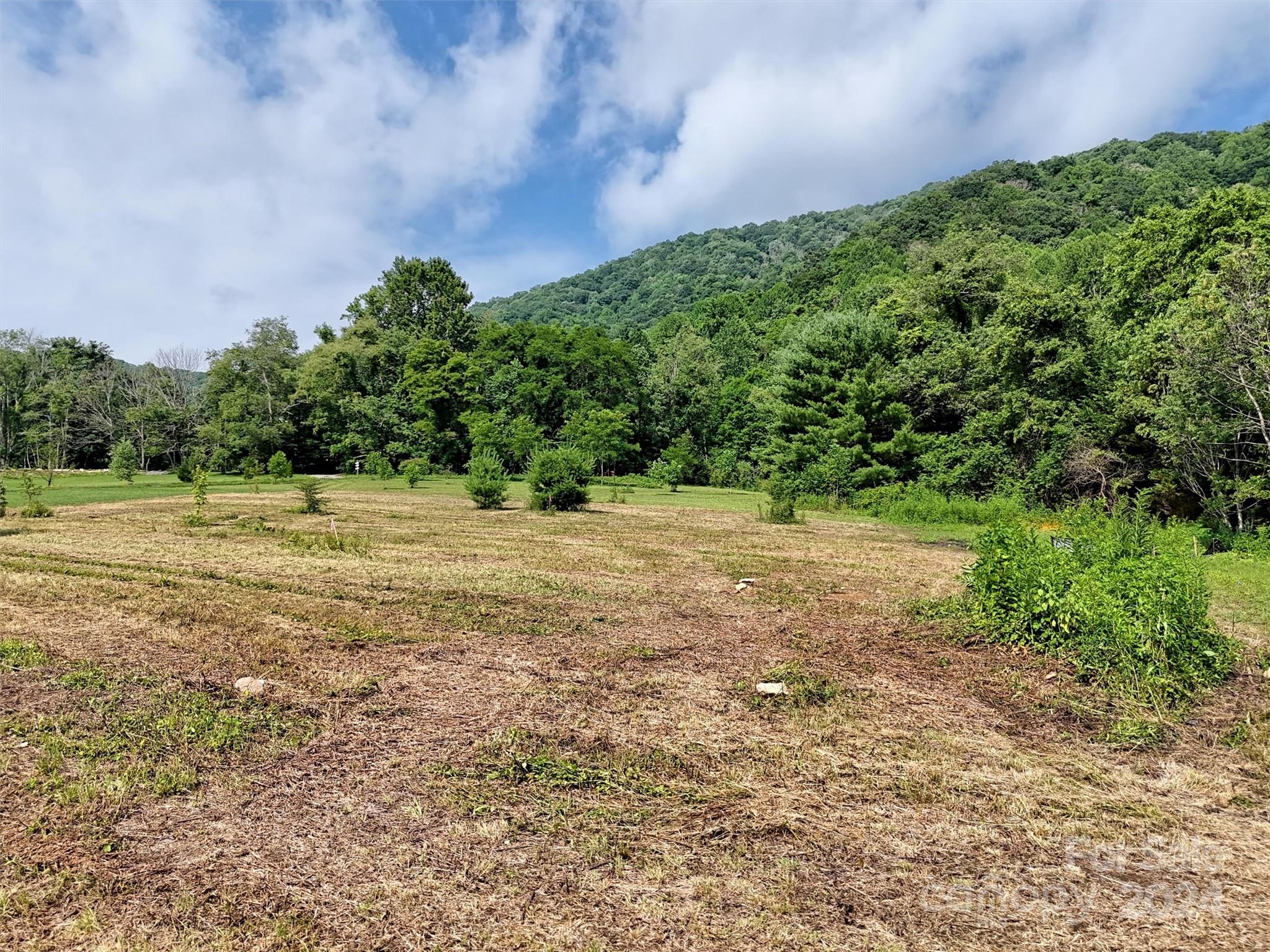 0 Rush Fork Road Clyde, NC 28721 - Photo 11 of 17
