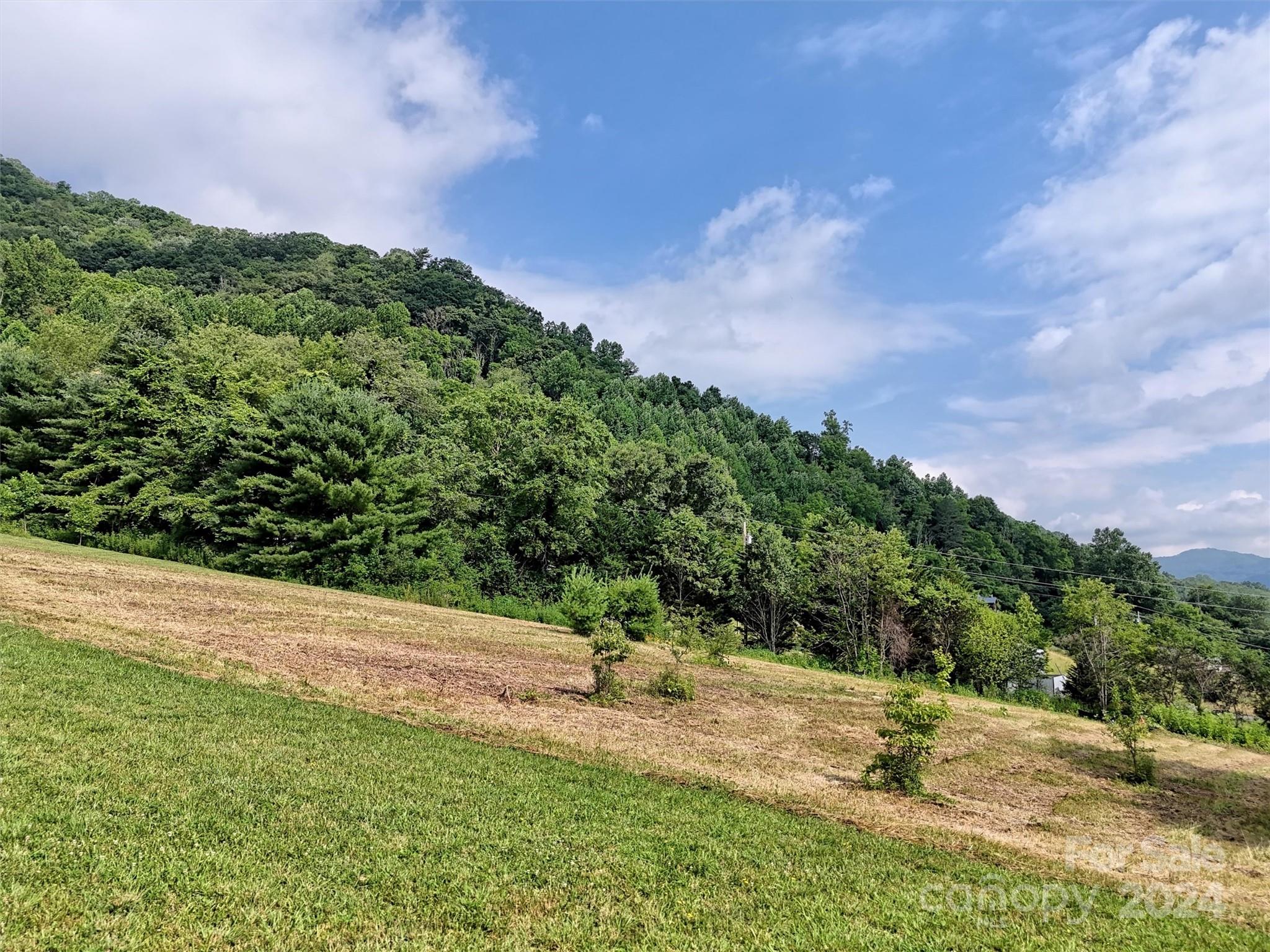 0 Rush Fork Road Clyde, NC 28721 - Photo 5 of 17