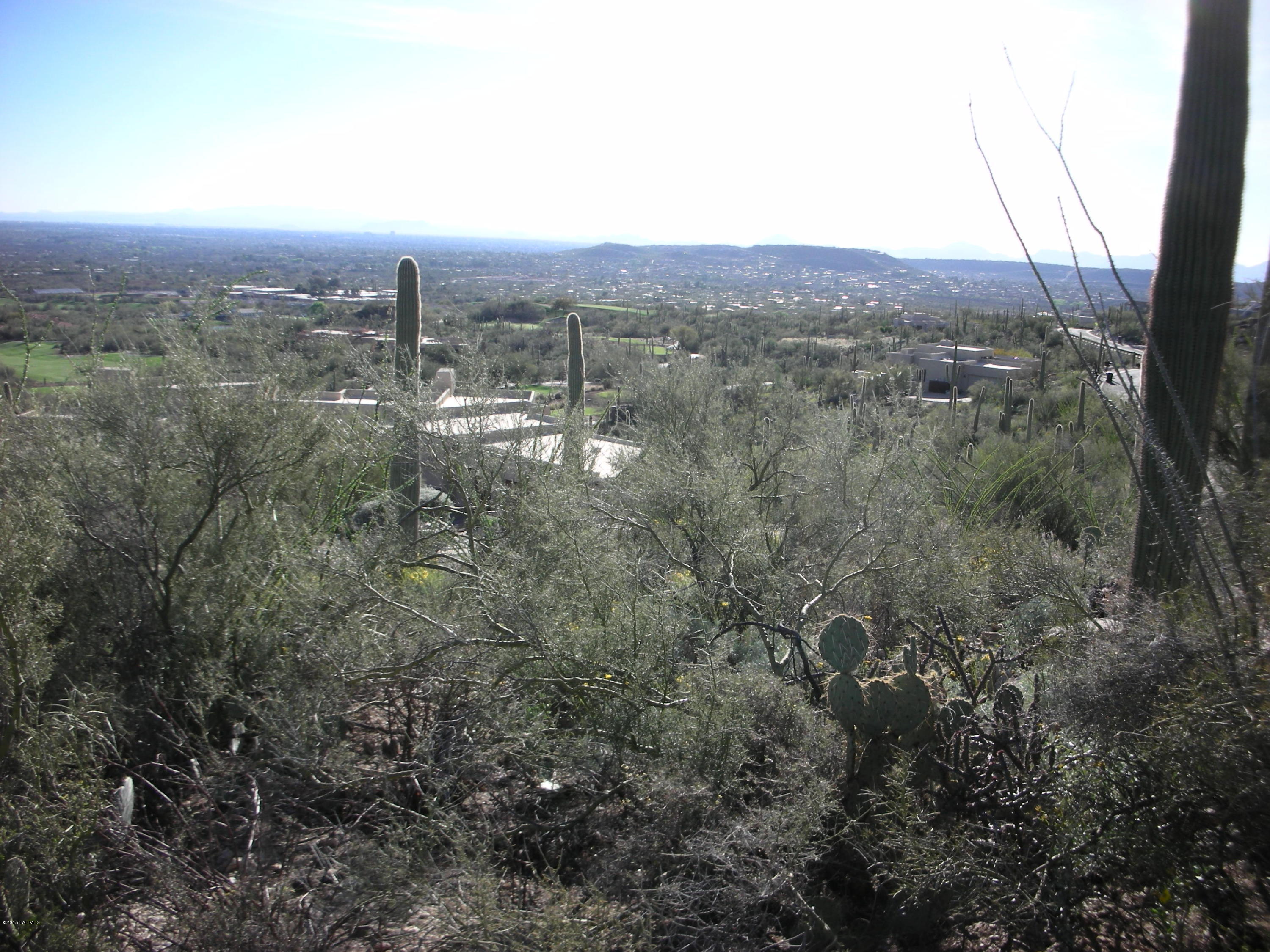 West Rhyolite Loop Tucson, AZ 85745 - Photo 9 of 12
