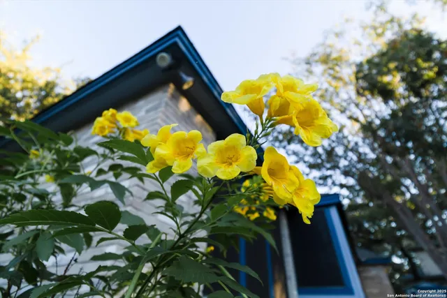 $465,000 | 9235 Bent Elm Creek Lane, San Antonio, TX 78230