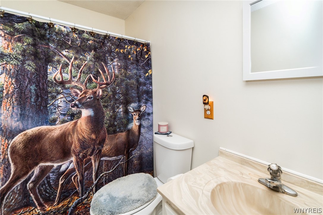 2025 Thomas Road Sheldon, NY 14167 - Photo 14 of 40 Gallery Image 14
