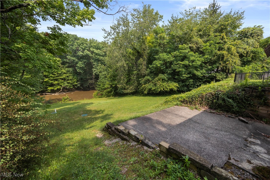 11632 Robson Road Grafton, OH 44044 - Photo 41 of 48 View of green lawn, off lower level