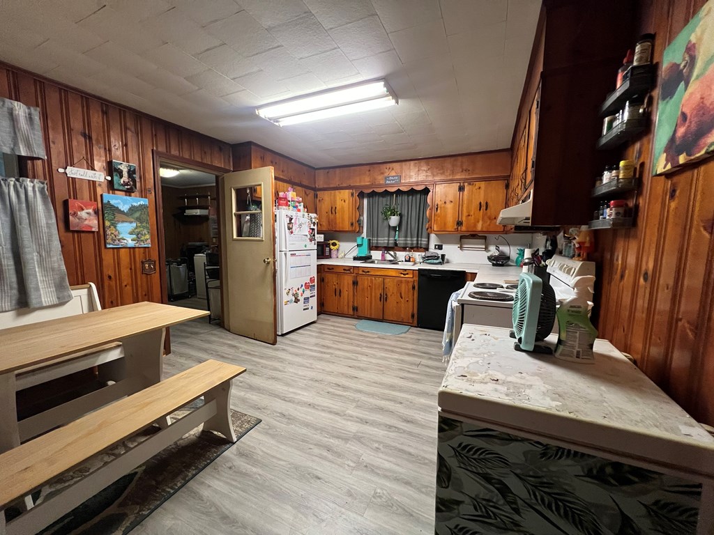 235 Cochran Road Chatsworth, GA 30705 - Photo 3 of 16 Gallery Image 3