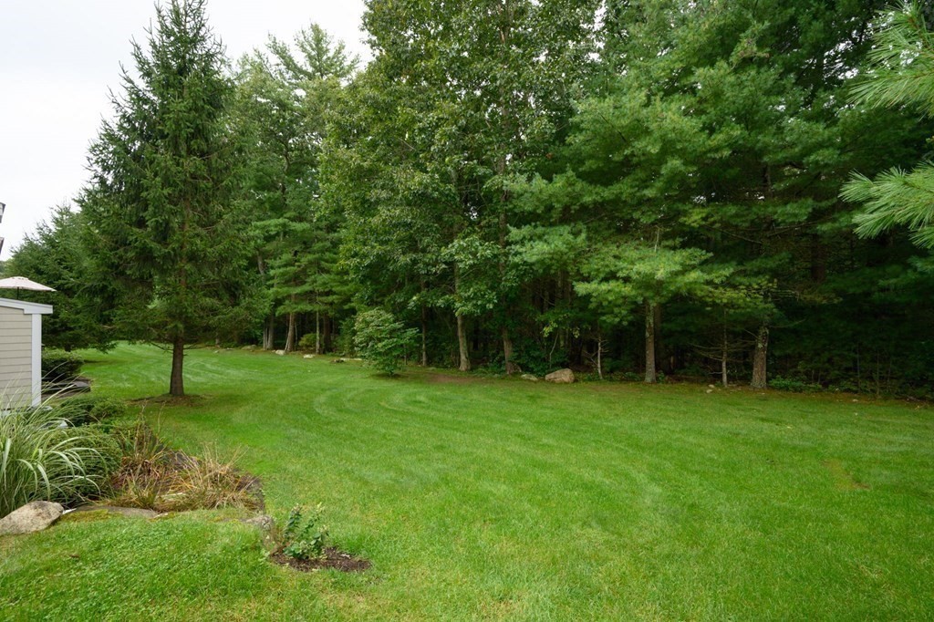 25 Hemlock Circle, Unit 25 Hanover, MA 02339 - Photo 31 of 36 a view of a backyard with a trees