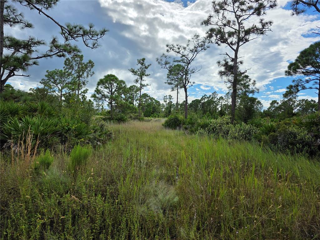 6453 Sweden Boulevard Punta Gorda, FL 33982 - Photo 6 of 12