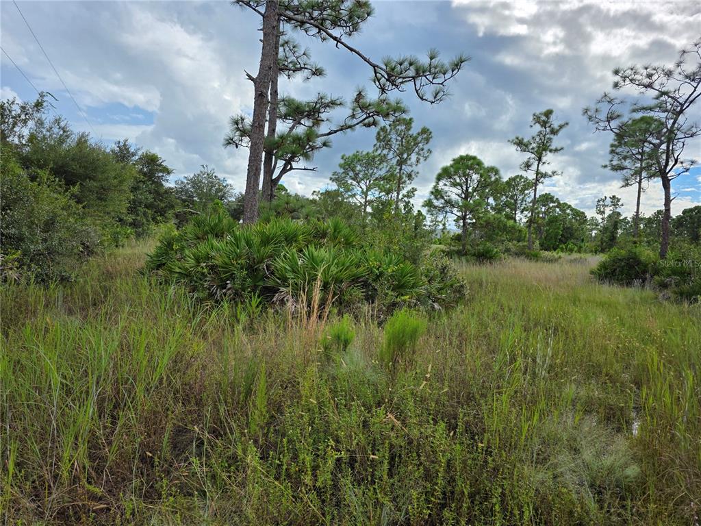 6453 Sweden Boulevard Punta Gorda, FL 33982 - Photo 7 of 12