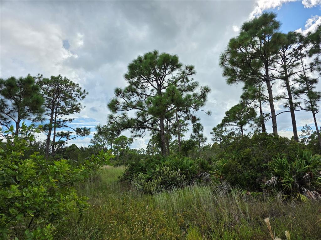 6453 Sweden Boulevard Punta Gorda, FL 33982 - Photo 9 of 12