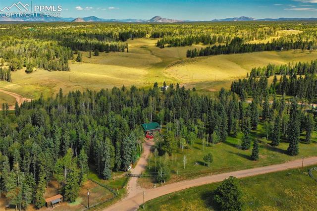 635 Ridge Drive Divide, CO 80814 - Photo 43 of 50 Gallery Image 43