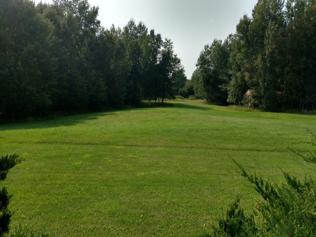 2531 North Williams Road Twining, MI 48766 - Photo 23 of 37 1844096-22.JPG