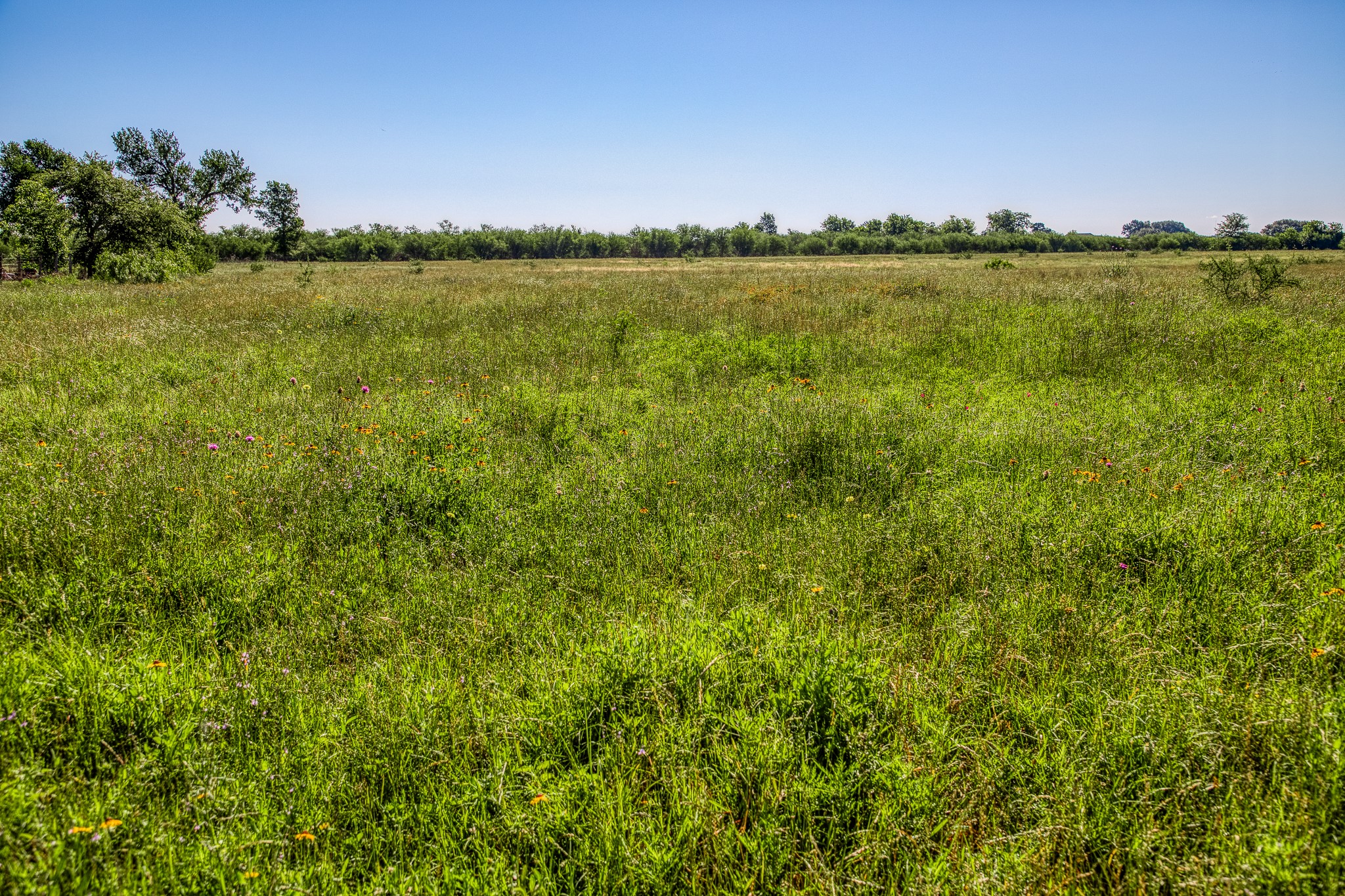 0 Flat Prairie Road Washington, TX 77880 - Photo 9 of 19