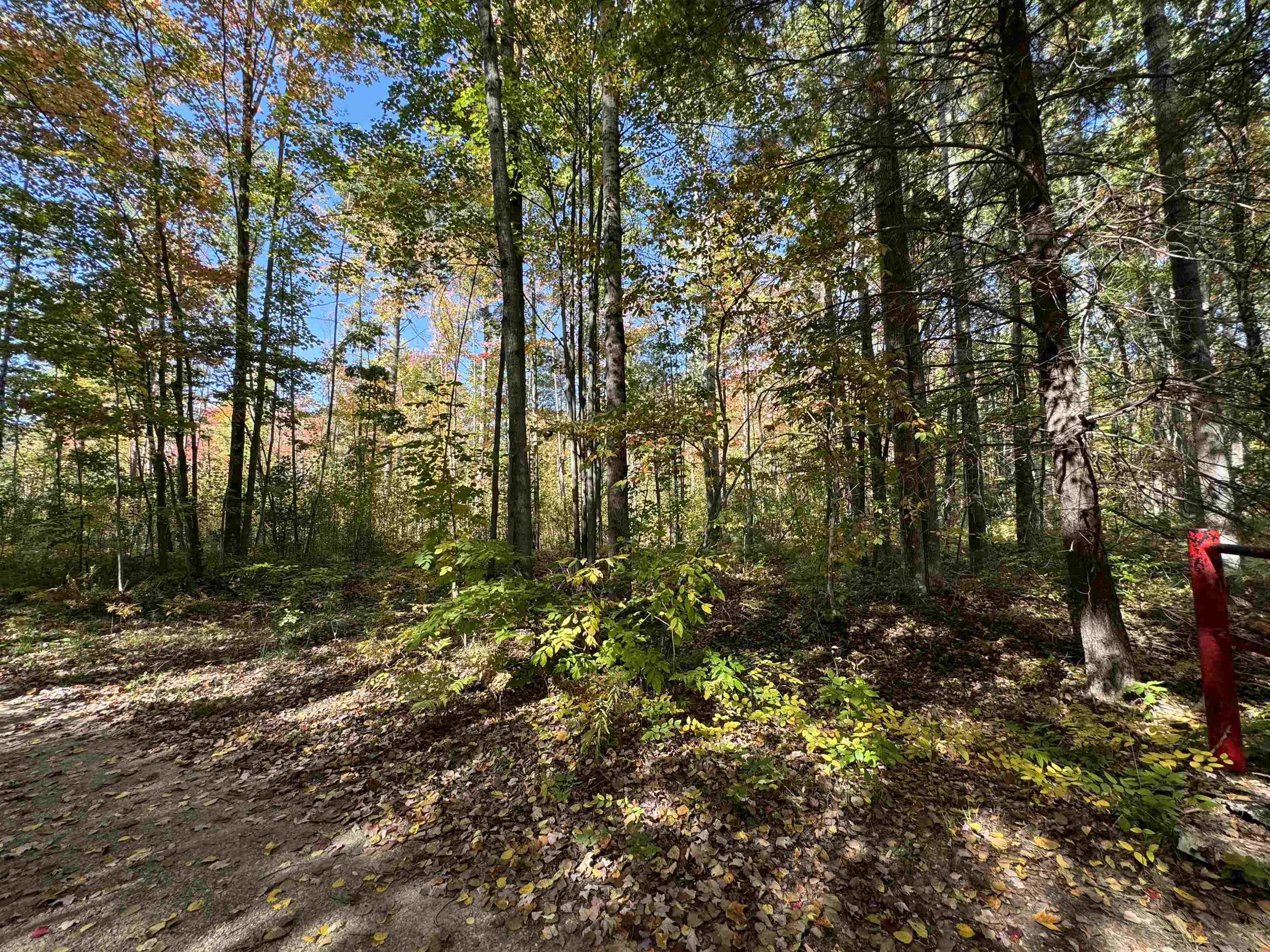 0 Cranberry Lake Road Prescott, MI 48756 - Photo 1 of 17 Gallery Image 1