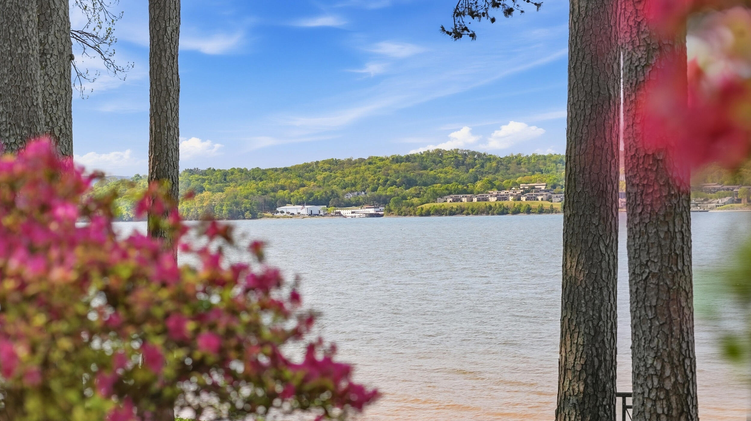 3635 Kings Road Chattanooga, TN 37416 - Photo 61 of 101 Lake View