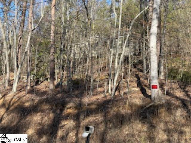 274 Connelly Road Pickens, SC 29671 - Photo 3 of 7