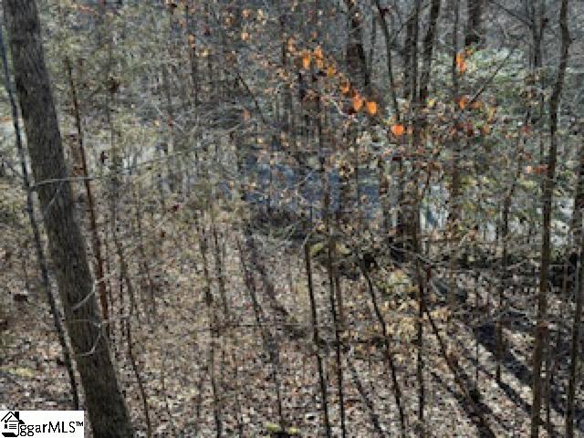 274 Connelly Road Pickens, SC 29671 - Photo 5 of 7