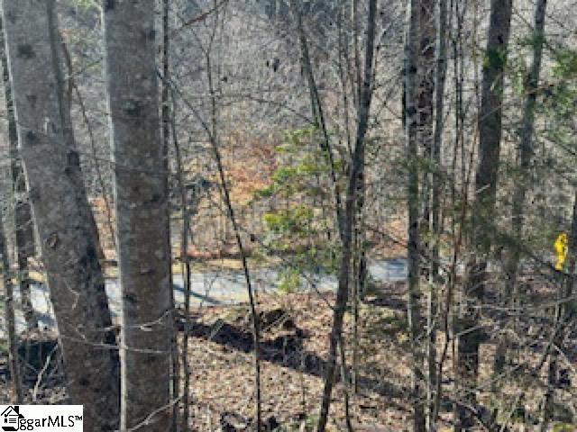 274 Connelly Road Pickens, SC 29671 - Photo 6 of 7