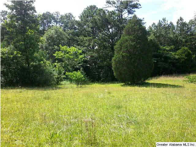 9290 Camp Oliver Road, Unit 12 000 Adger, AL 35006 - Photo 1 of 2