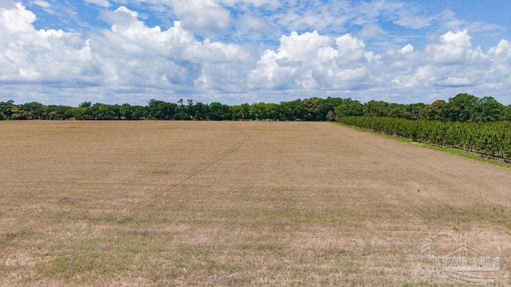 17 Three Three Oaks Lane Pace, FL 32571 - Photo 5 of 10