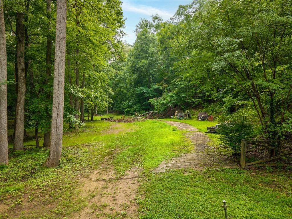 1117 Rambling Road Fairmount, GA 30139 - Photo 12 of 74