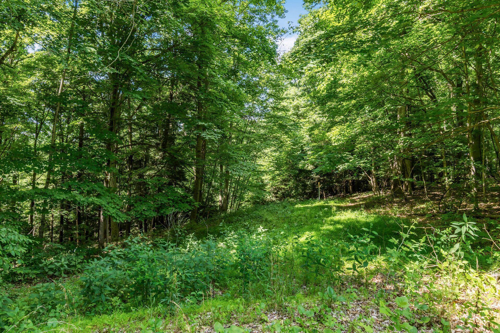 13807 Marshall Road Rockbridge, OH 43149 - Photo 26 of 33