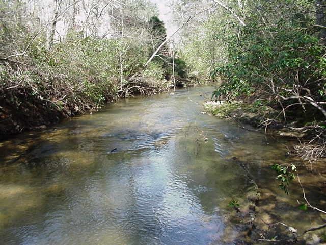 0 Hooper Road, Unit LOT 6 Cleveland, GA 30528 - Photo 1 of 1 a view of a lake with a tree