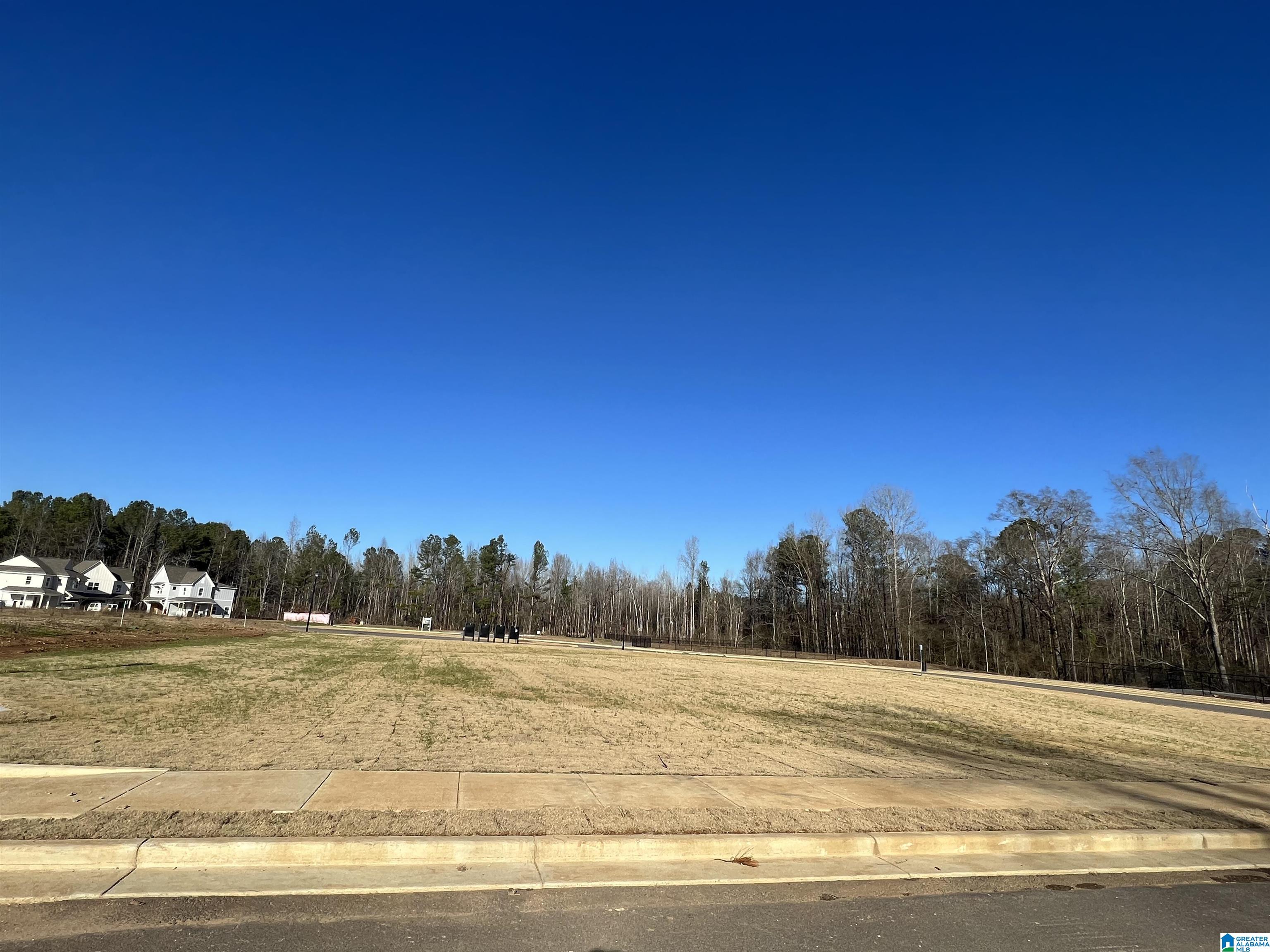 500 Feherty Way Birmingham, AL 35242 - Photo 10 of 10