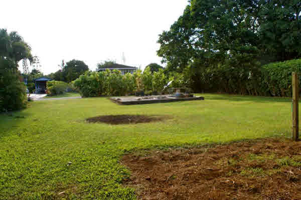 4473 Pili Road Kilauea, HI 96754 - Photo 5 of 8 Gallery Image 5