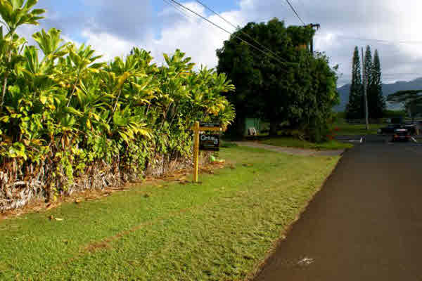 4473 Pili Road Kilauea, HI 96754 - Photo 8 of 8 Gallery Image 8