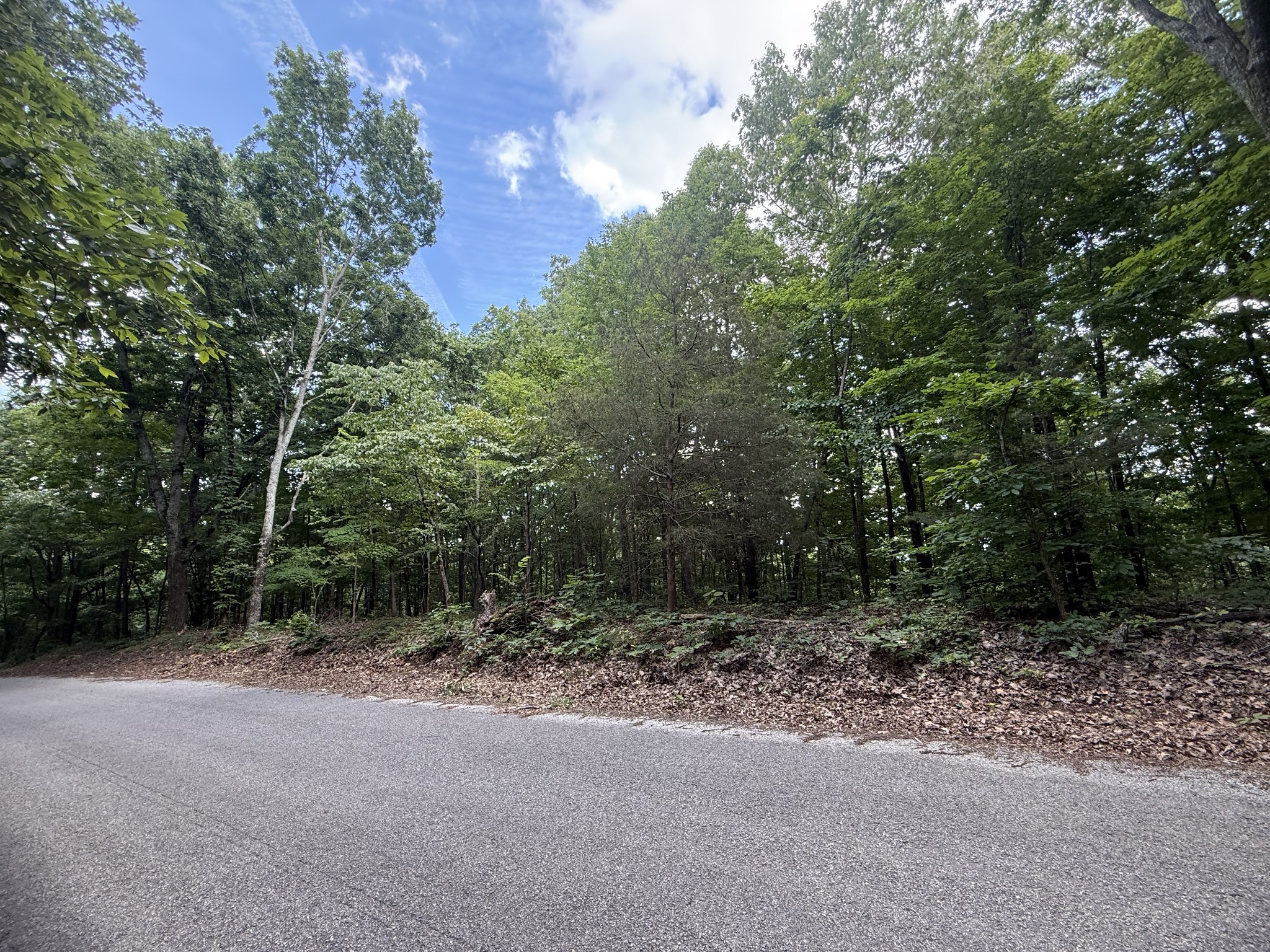 0 Jack Holt Road Prospect, TN 38477 - Photo 9 of 9