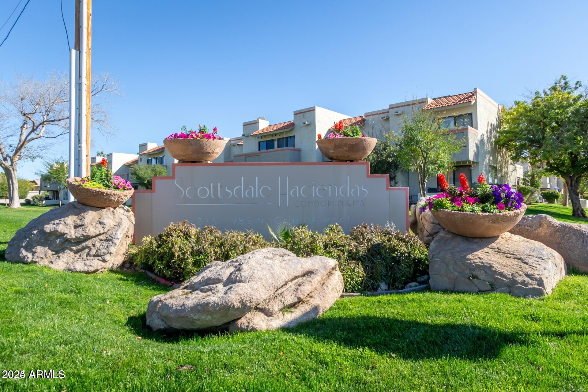 a view of a backyard with plants and flowers