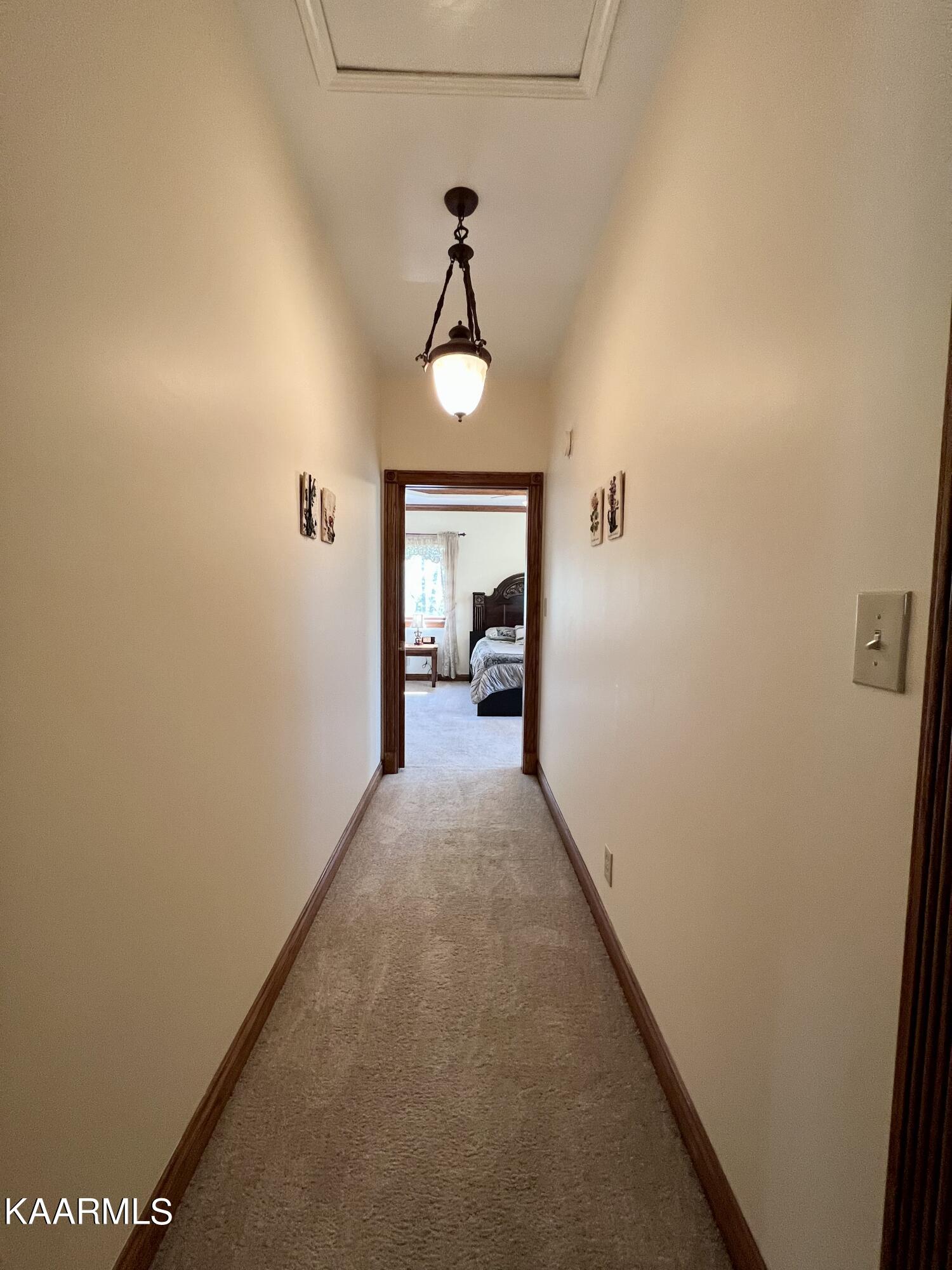 970 Cove Pointe Road La Follette, TN 37766 - Photo 11 of 59 EC1113E1-75DF-4F23-AEC4-30B42E377C6B