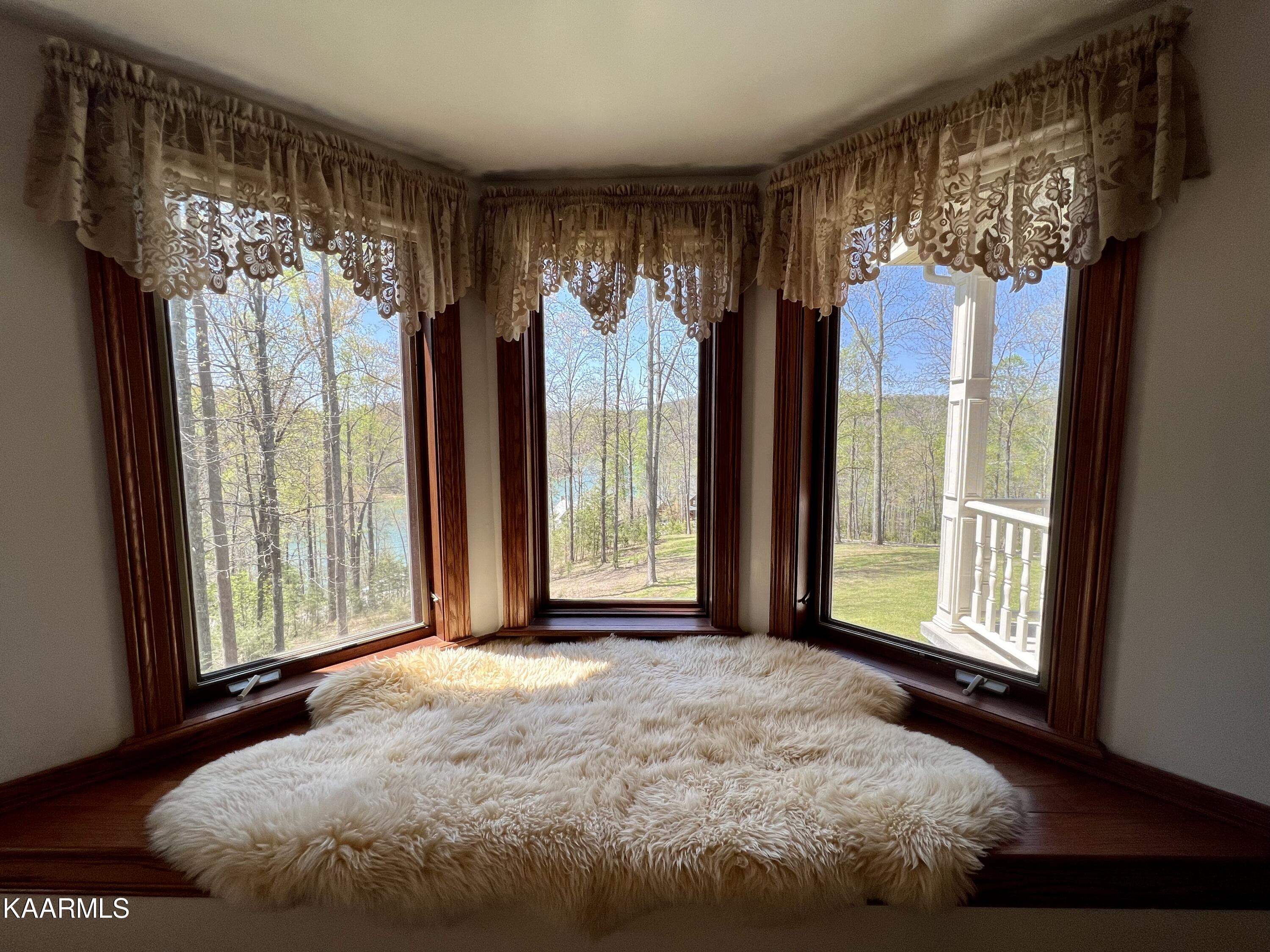 970 Cove Pointe Road La Follette, TN 37766 - Photo 13 of 59 4B2BA443-0730-411B-93E5-580875B49692