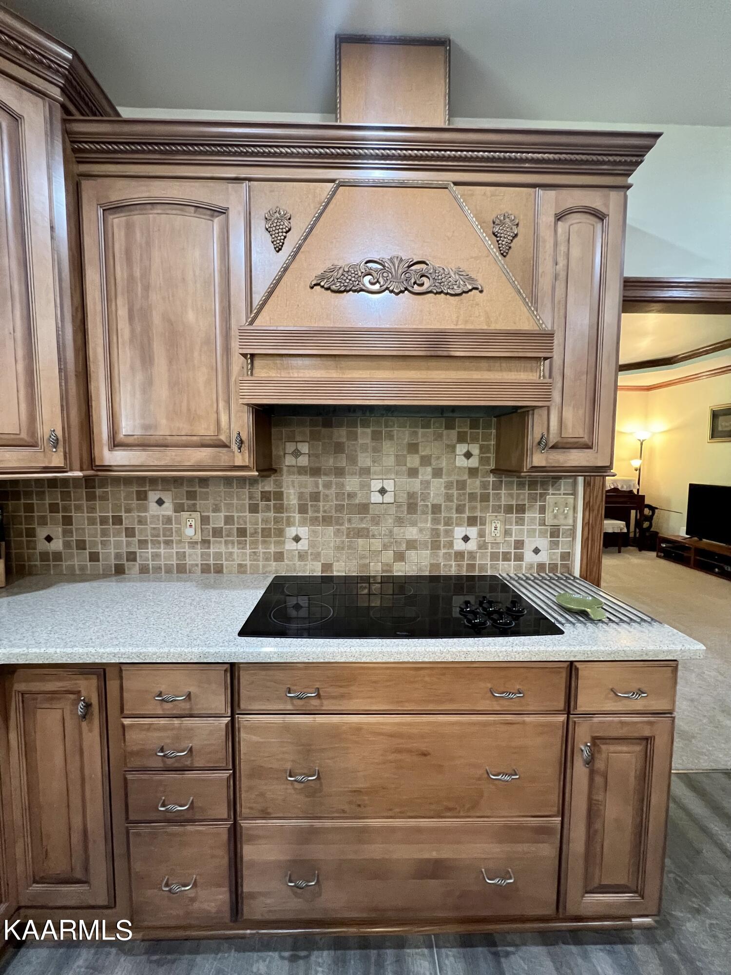 970 Cove Pointe Road La Follette, TN 37766 - Photo 30 of 59 6DB38E18-F525-4F17-9B09-999FCC055B63