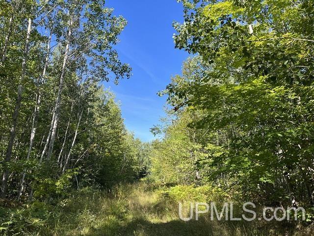 40-acres 40-acres Off Townline Road Lanse, MI 49946 - Photo 1 of 3