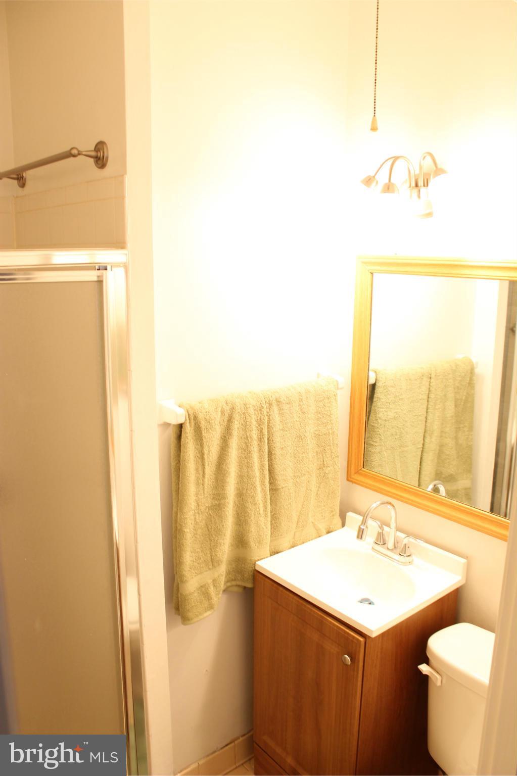 4720 Old Court Road Baltimore, MD 21208 - Photo 14 of 21 Bath (Master) has stand up shower