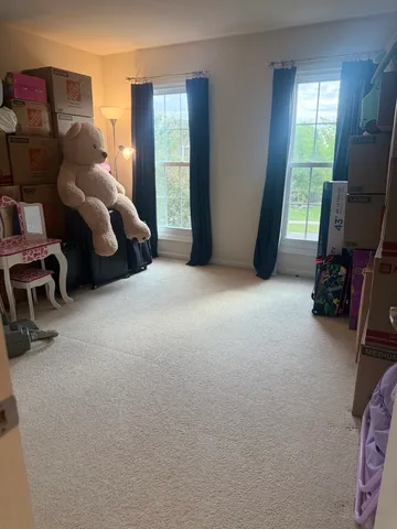 $699,900 | 13035 Grande Pines Boulevard, Plainfield, IL 60585