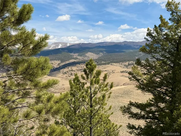 a view of a tree