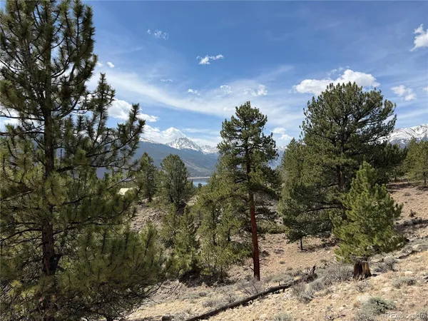 a view of a bunch of mountains in middle of the forest