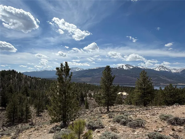 a view of a bunch of trees in the background