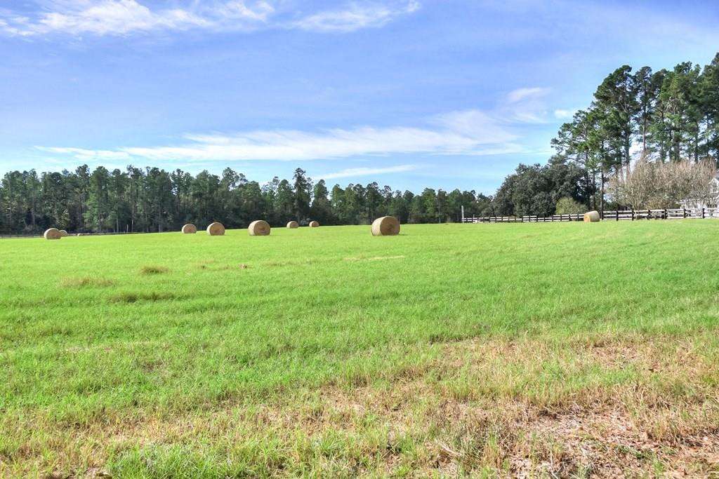 492 Black River Road Barnwell, SC 29812 - Photo 37 of 58 Gallery Image 37
