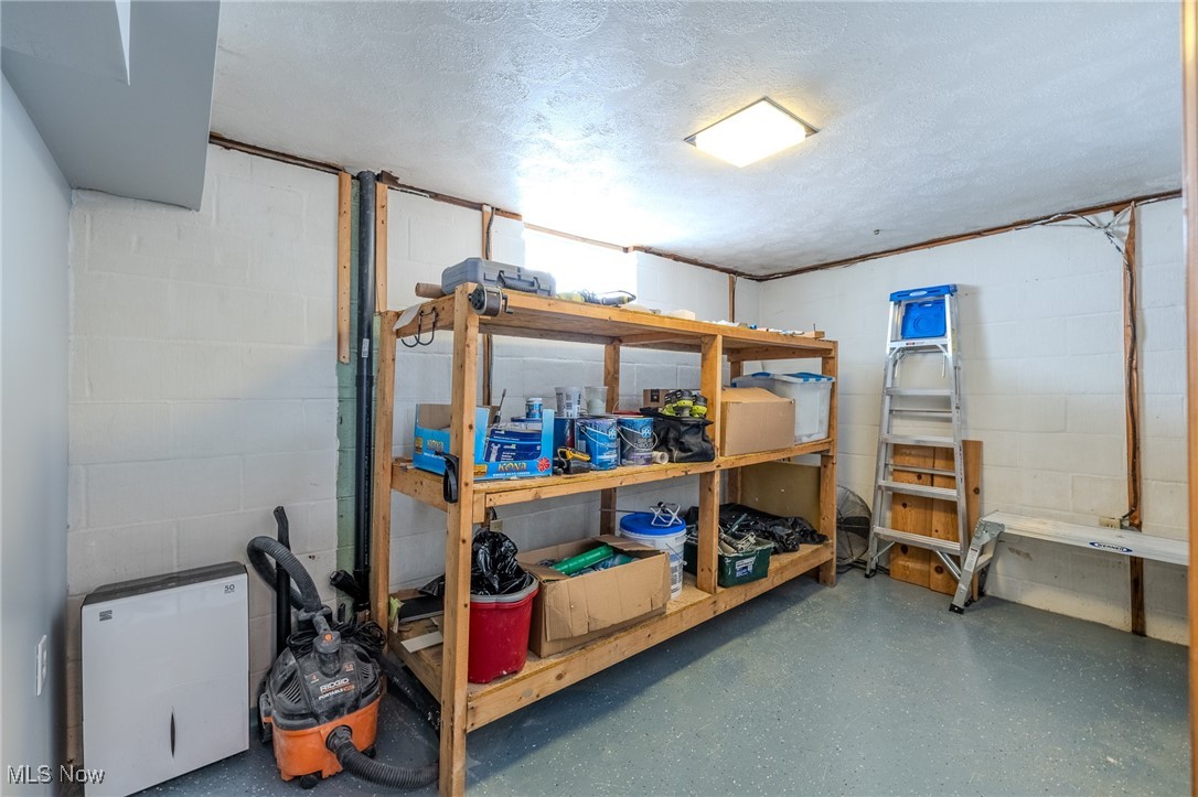29971 Regent Road Wickliffe, OH 44092 - Photo 38 of 39 View of storage area