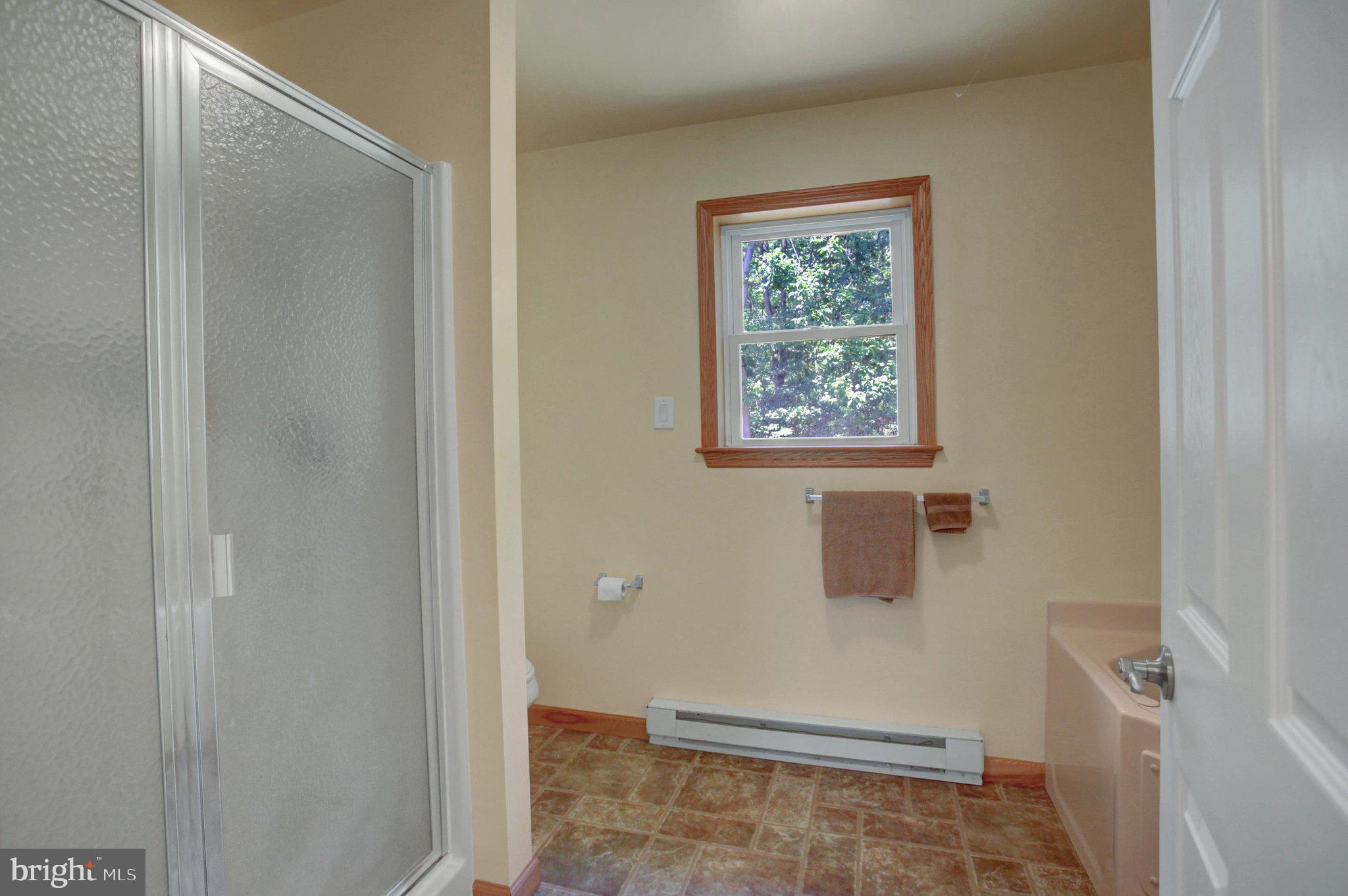 21060 Revercomb Lane Shade Gap, PA 17255 - Photo 24 of 57 Walk in shower